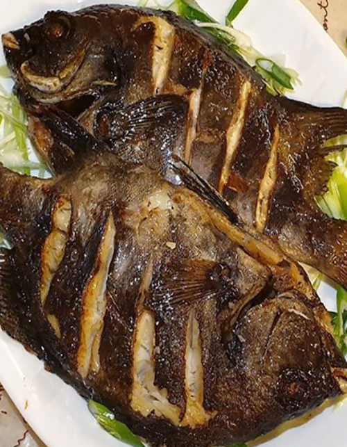 제주도직송 생선의 왕 돌돔 1kg 3-5미 마리당200-400g