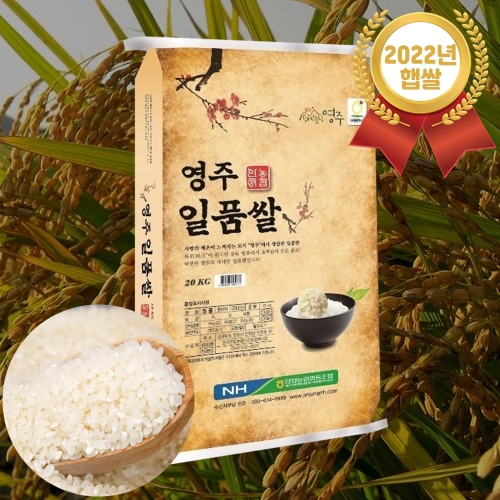 22년도 햅쌀 영주 일품쌀 20kg 갓도정 일품미 상등급